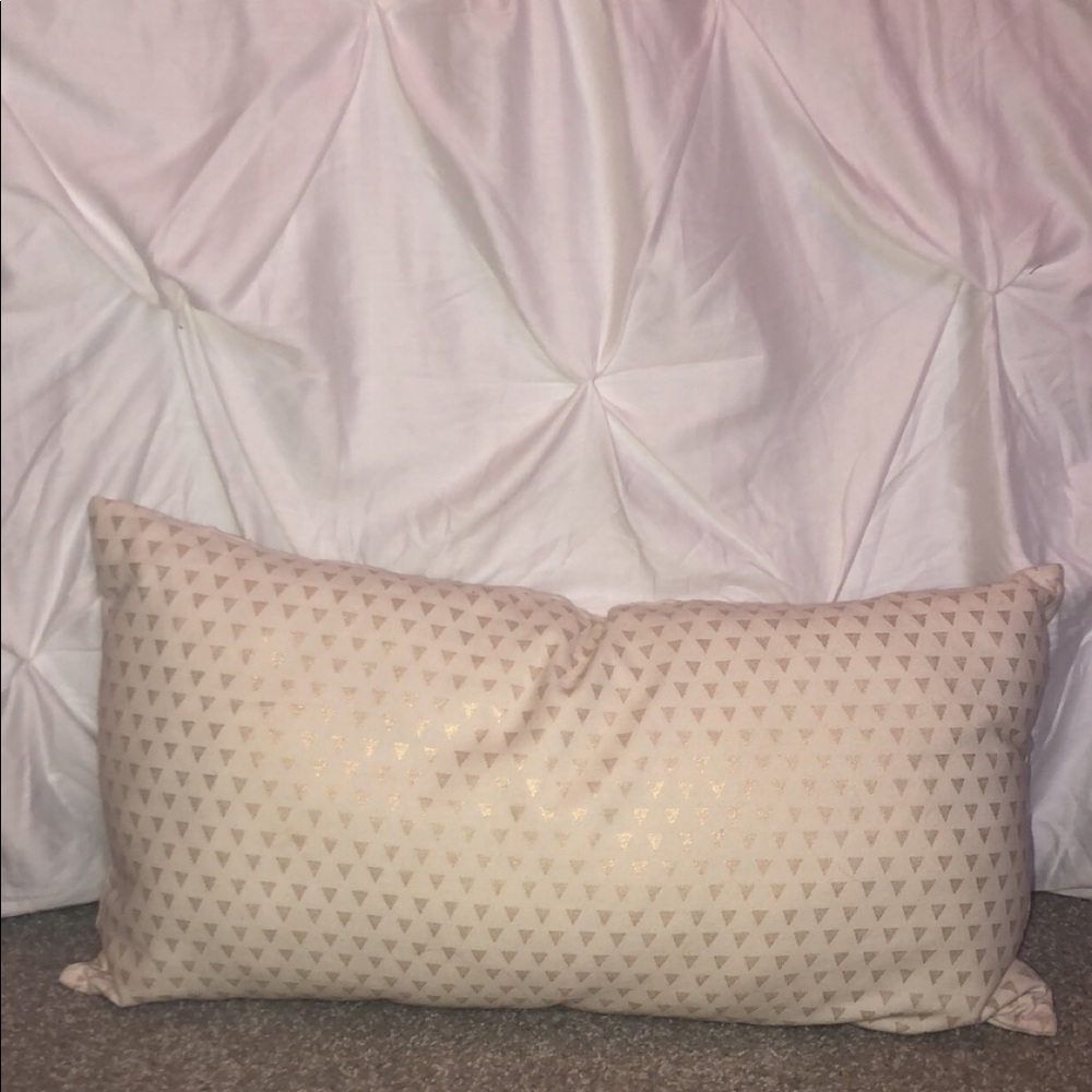 Super cute throw pillow